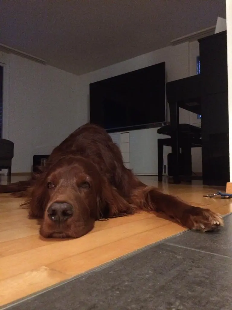 Condolence image of Oliver