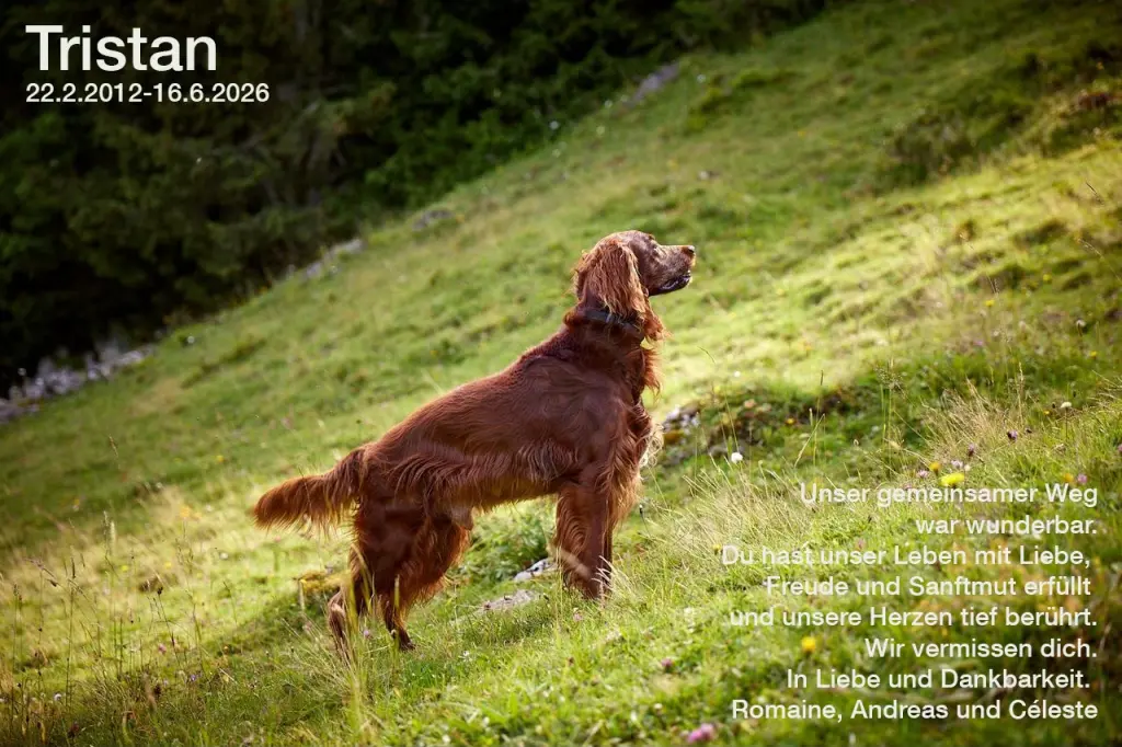 Image from Tristan